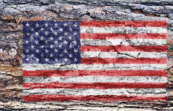 AMERICA&##x3a; It Doesn&##x27;t Have to Be This Way