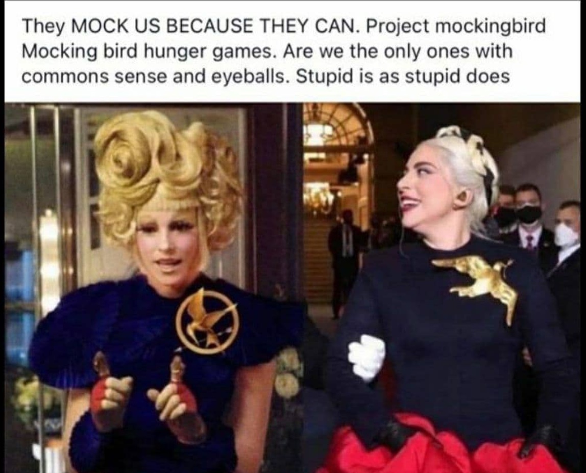 Hunger Games Comes True in DC... Let&##x27;s See if THEY Can Fight Their Way OUT&##x21;